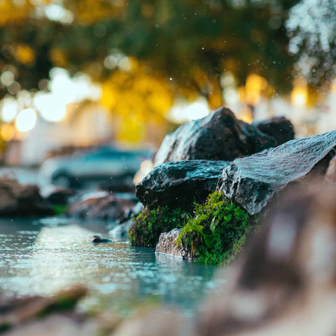 Acqua e sake